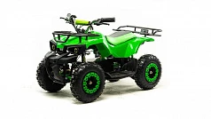 Квадроцикл (игрушка) MOTOLAND (МОТОЛЕНД) ATV E009 1000Вт