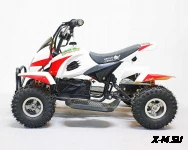 Квадроцикл GreenCamel Гоби K12 (24V 350W R4 Цепной привод)