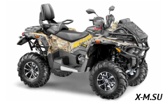 Квадроцикл STELS ATV850 (PE) ГЕПАРД 2.0 K05 EPS Tech