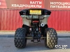 Квадроцикл WELS Thunder 125 E2