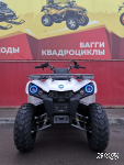 Квадроцикл PROMAX RENEGADE 280 (2025)