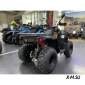 Квадроцикл Iride ROVER 250