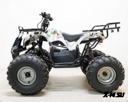 Квадроцикл GreenCamel Атакама T220 (48V 1000W R8 Дифференциал) пониженная
